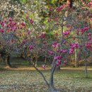 목련약국 이미지