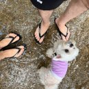 학산아래쉼터 이미지