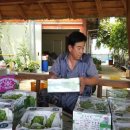 정진월농장 이미지