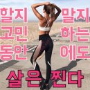 편백효소방