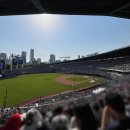 [240519] 잠실야구장 롯데 vs 두산 직관 후기