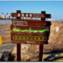 송도 달빛공원 이미지