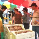 태안군, ‘제1회 신진도 오징어&amp;수산물 축제’ 마쳐(서산태안신문) 이미지