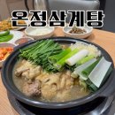 온정역 | 춘천 남춘천역 맛집 온정삼계탕 | 상황버섯백숙 재방문 내돈내산 후기