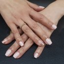 다온DAY(데이) 이미지