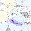 태풍이네 이미지