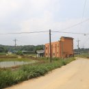 광천읍 하리마을회관 Daum카페