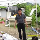 성태농장 Daum카페