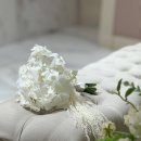 서울그랜드호스텔이대 | 부산 아이폰 스냅 그랜드 모먼트 쥬와스냅 본식 후기