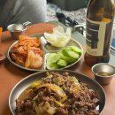 호노골 캠핑장 | 부산 근교 가족 캠핑장 추천 호노골캠핑장 아이와 가기 좋은 곳