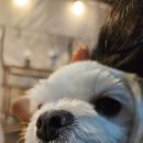 해피리버 펜션 이미지