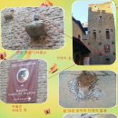 명문특장 | 이탈리아 여행 후기-9 피렌체-단테생가-피렌체대성당