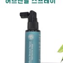 허브덴탈 네이버블로그