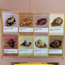 라로커피(raro coffee) 이미지