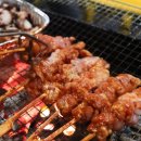 계룡산동학사스타 이미지