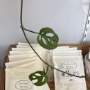 삐삐슈퍼 이미지