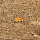 고양 만경사 석조여래좌상 이미지