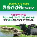 한솔건강원 - 김해시 함박로 101 | 한솔건강원