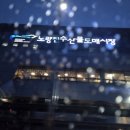 땅끝마을 | 노량진회포장 겨울 제철회 추천 특대방어 대광어 참돔회 땅끝마을 포장후기