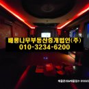 이비자노래연습장 이미지