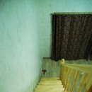 개미공원 근처 이미지