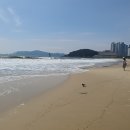 복음간병인 이미지