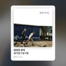 샘보석목욕탕 | 언제나 은은히 빛나는 변치않는 보석처럼(부제: 대전여행)