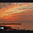 41190-01-07-312 | 제주시맛집 니모메 제주 바다뷰 카페로 추천