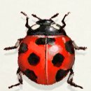 성채농원 이미지