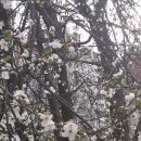 봉두농장 이미지