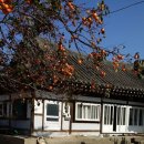 초이농장 이미지