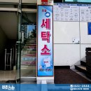 핑클세탁소 네이버블로그