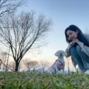 서현펫# 이미지