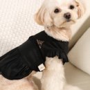 어도러블독 이미지