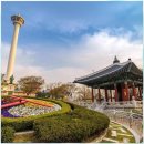 부산시티호텔 이미지