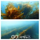 장호2리 이미지