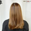 쿨샴푸 추천 미용실 쿨샴푸 커리쉴 쿨허브샴푸 사용해본 후기