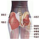 2호선 장산역 6번출구 이미지