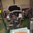 대한카독크 이미지