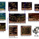 리프레일