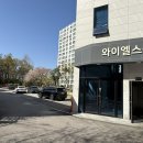 퍼피움 이미지