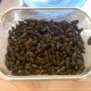 수암농장 이미지