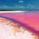 호수환경(주) 이미지