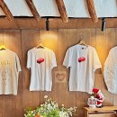 놋점 | 문경 카페 추천 놋지미제빵소 다양한 베이커리