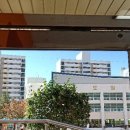 신금초등학교 병설 이미지