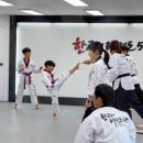 바르다 태권도 이미지