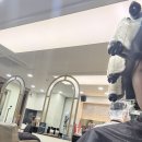 보들살롱 | [송파미용실]“그로잉살롱”에서 헤어컨설팅+구름펌 받은 후기