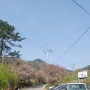 100대명산 - 천주산 이미지