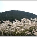 제주산책