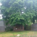 홍재농장 이미지